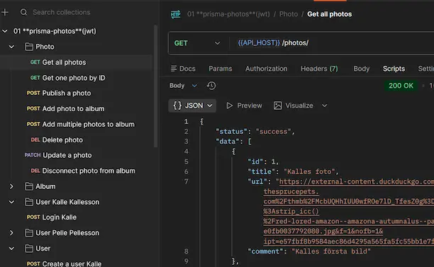 Preview of Photo API